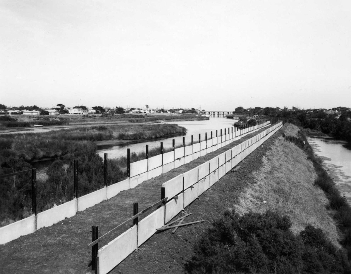 Raising the bank on the Patterson River at the Carrum outfall (1960)