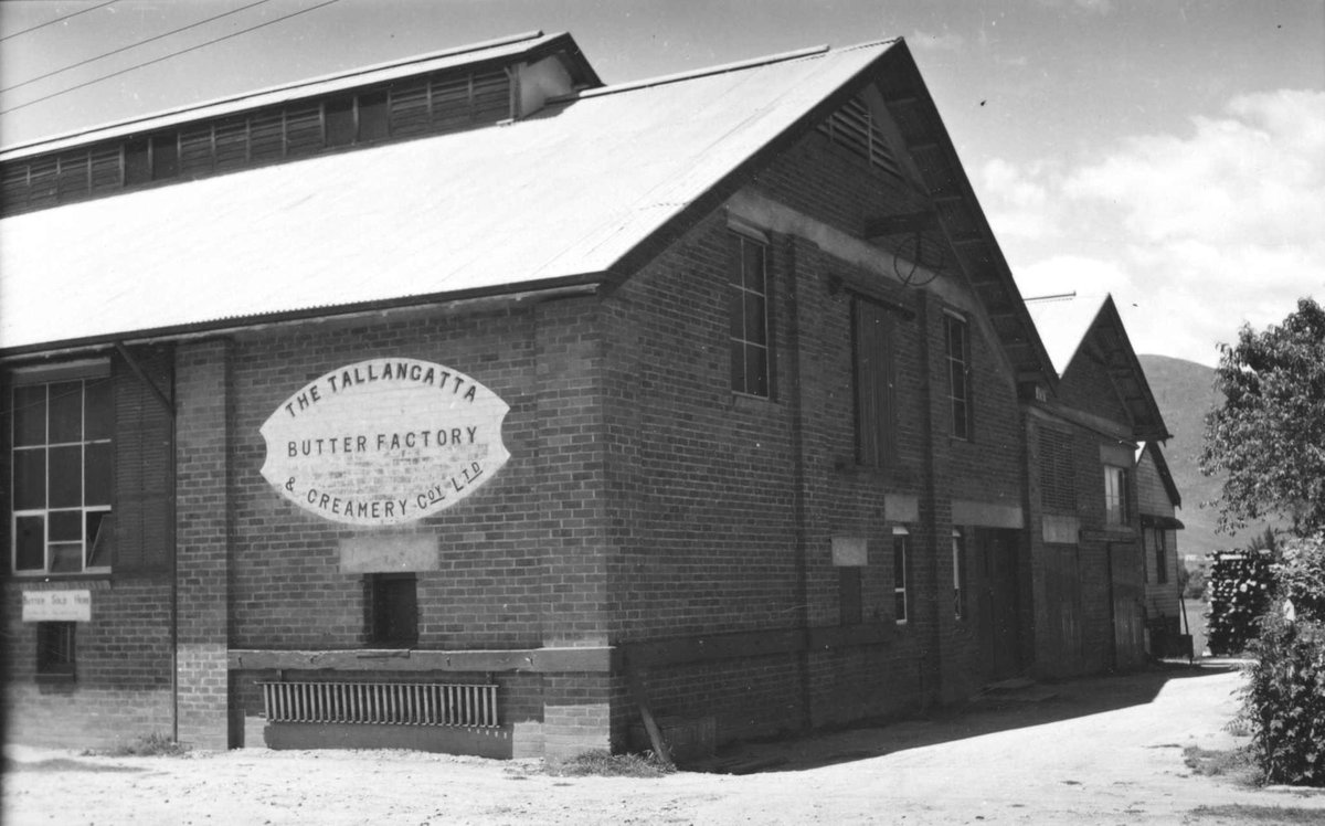 "Tallangatta Butter Factory and Creamery, Toorak, Old Tallangatta, and nearby residences" (1954)