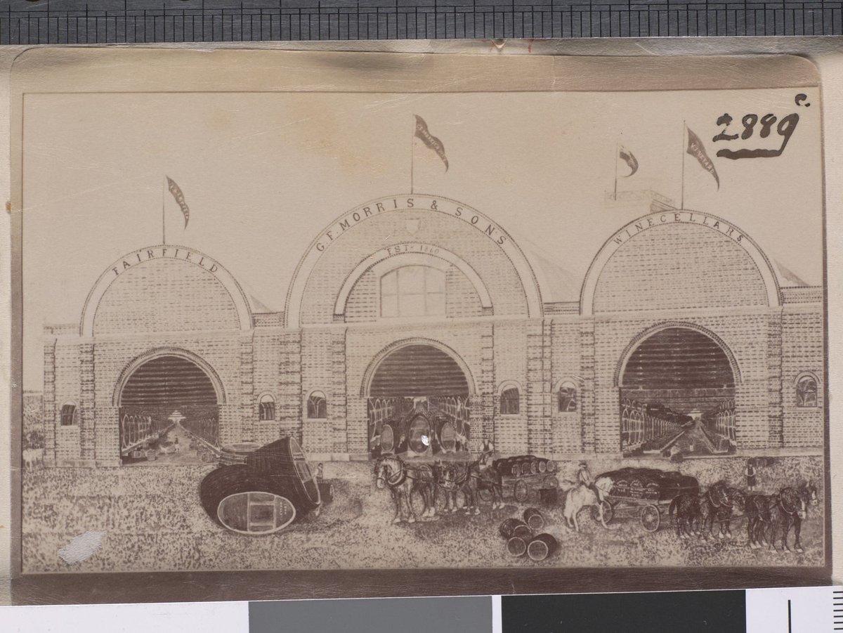G. F. Morris & Sons Fairfield Winecellars (1896)