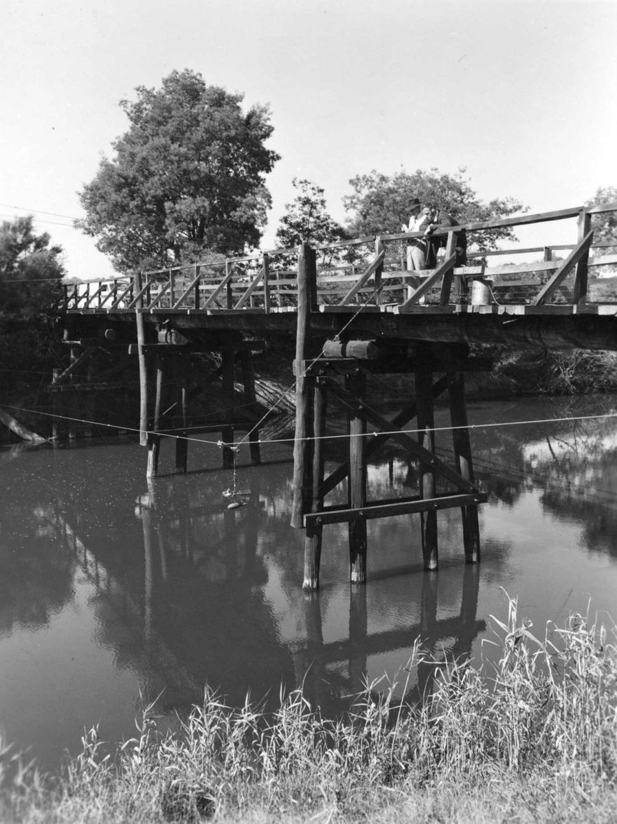HYDROGRAPHER WADING YARRA RIVER TO MEASURE FLOW (1954)