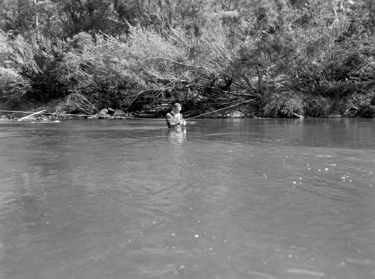 HYDROGRAPHER WADING YARRA RIVER TO MEASURE FLOW (1954)