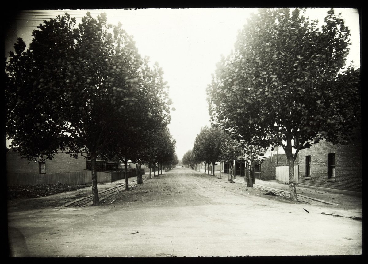 Harris Street, North Melbourne (c. 1910)