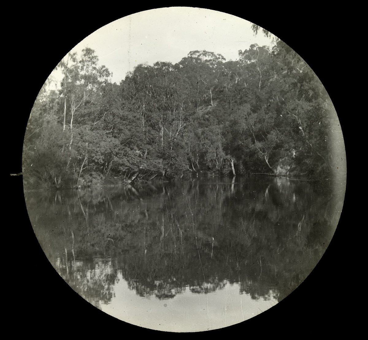 Tranquil scene on the Yarra River (1909)