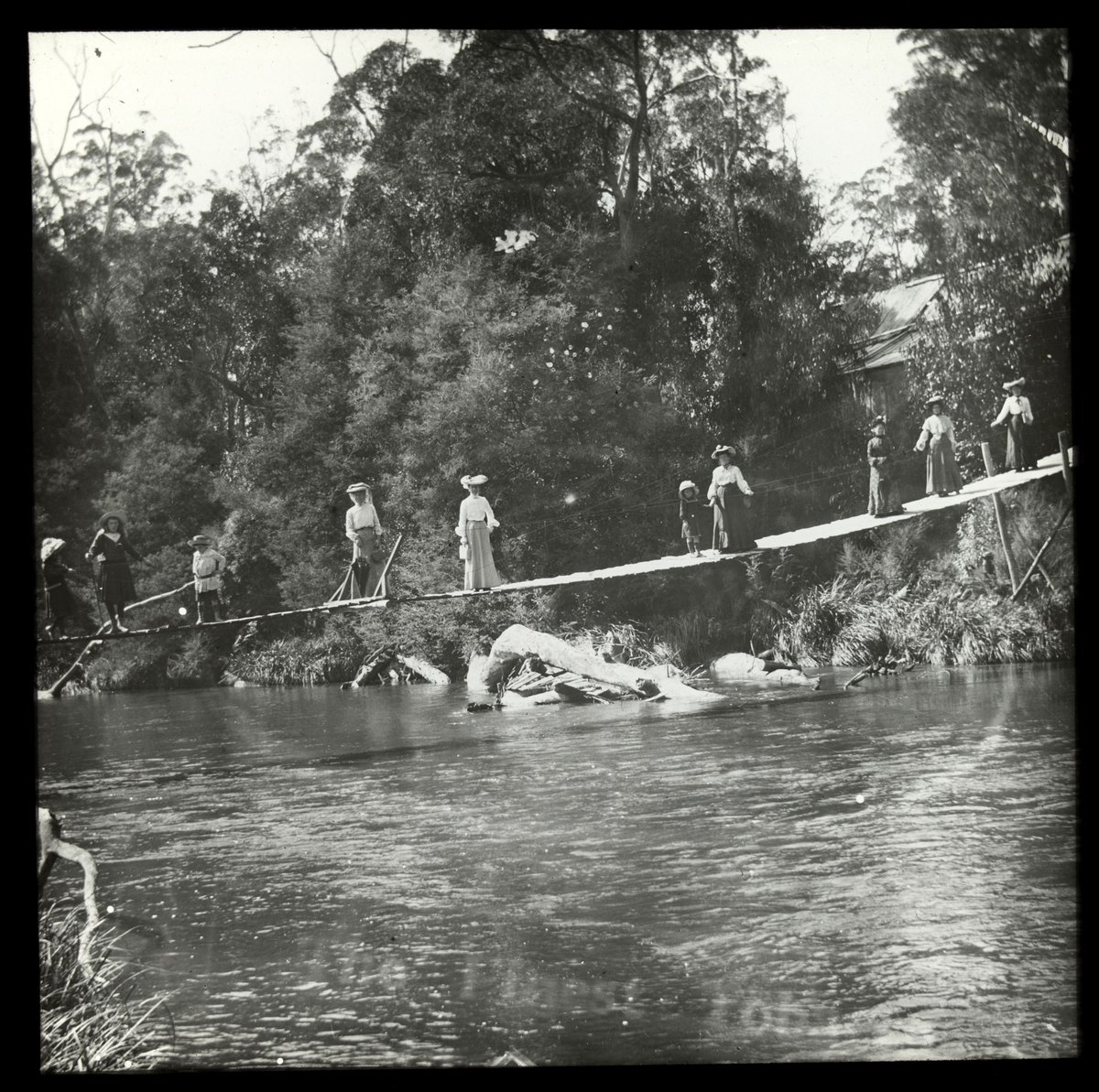 Women and children on a swing footbridge over the Yarra River, Victoria (1909)