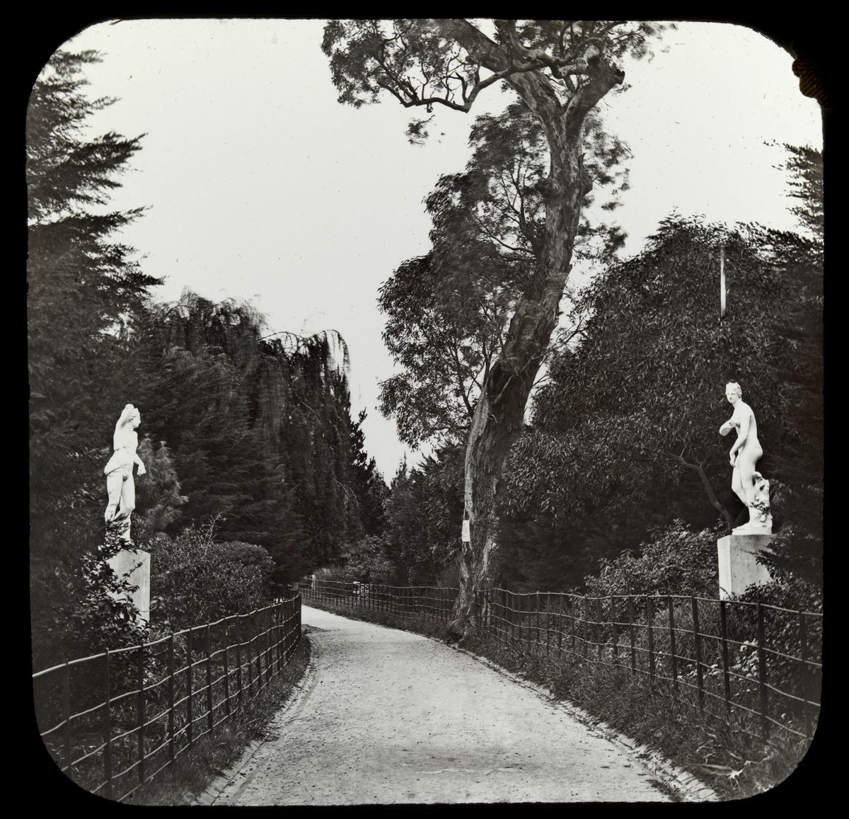 Treasury Gardens. Melb. [i.e. Melbourne], East Melbourne (1900–05)