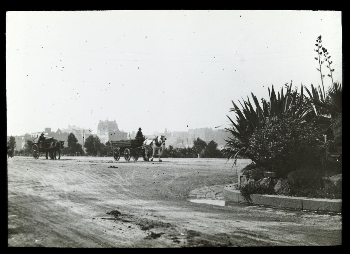 St. Kilda Road [with horse drawn carts], Melbourne City (1900–05)