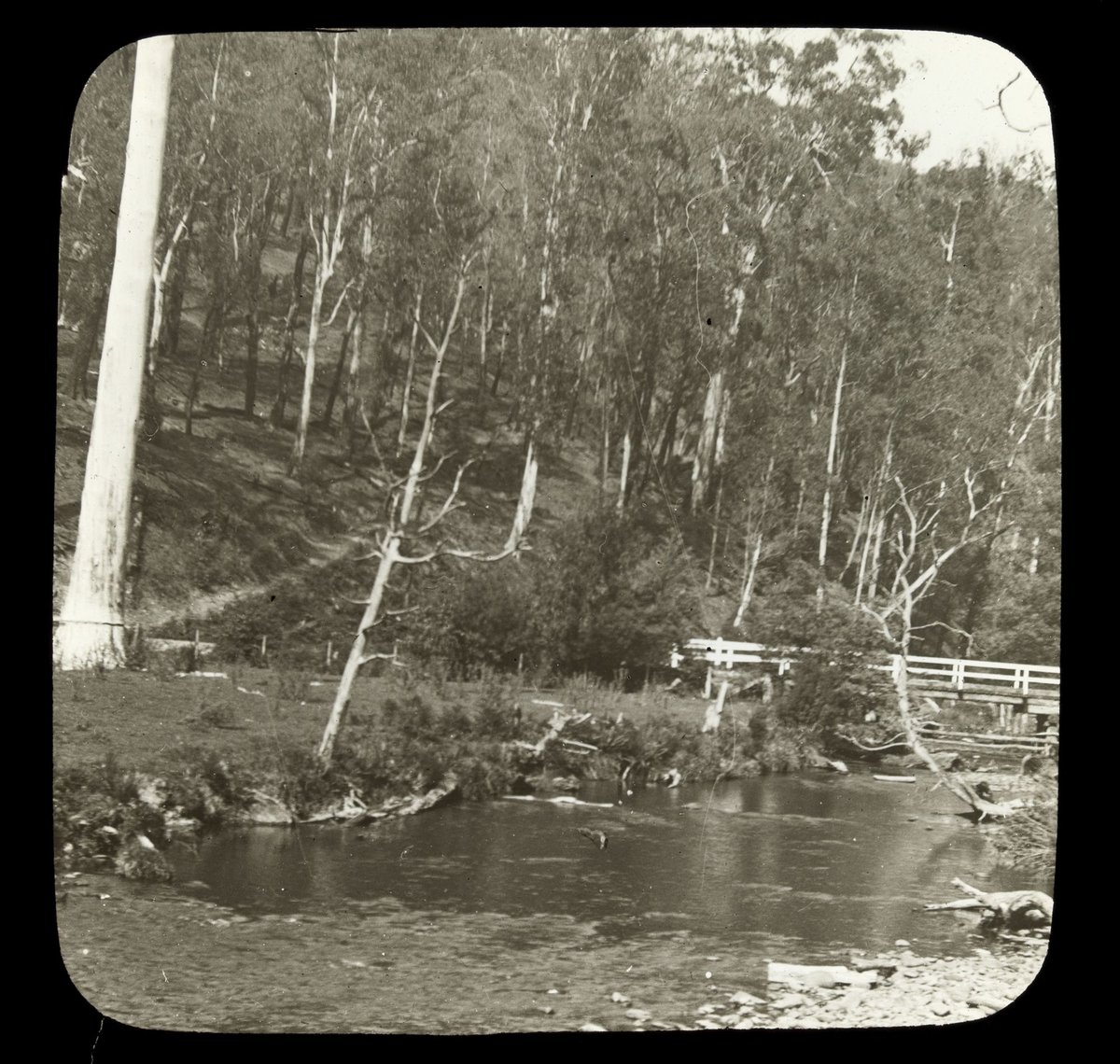 Wooden bridge over the Yarra River, country Victoria (1909)