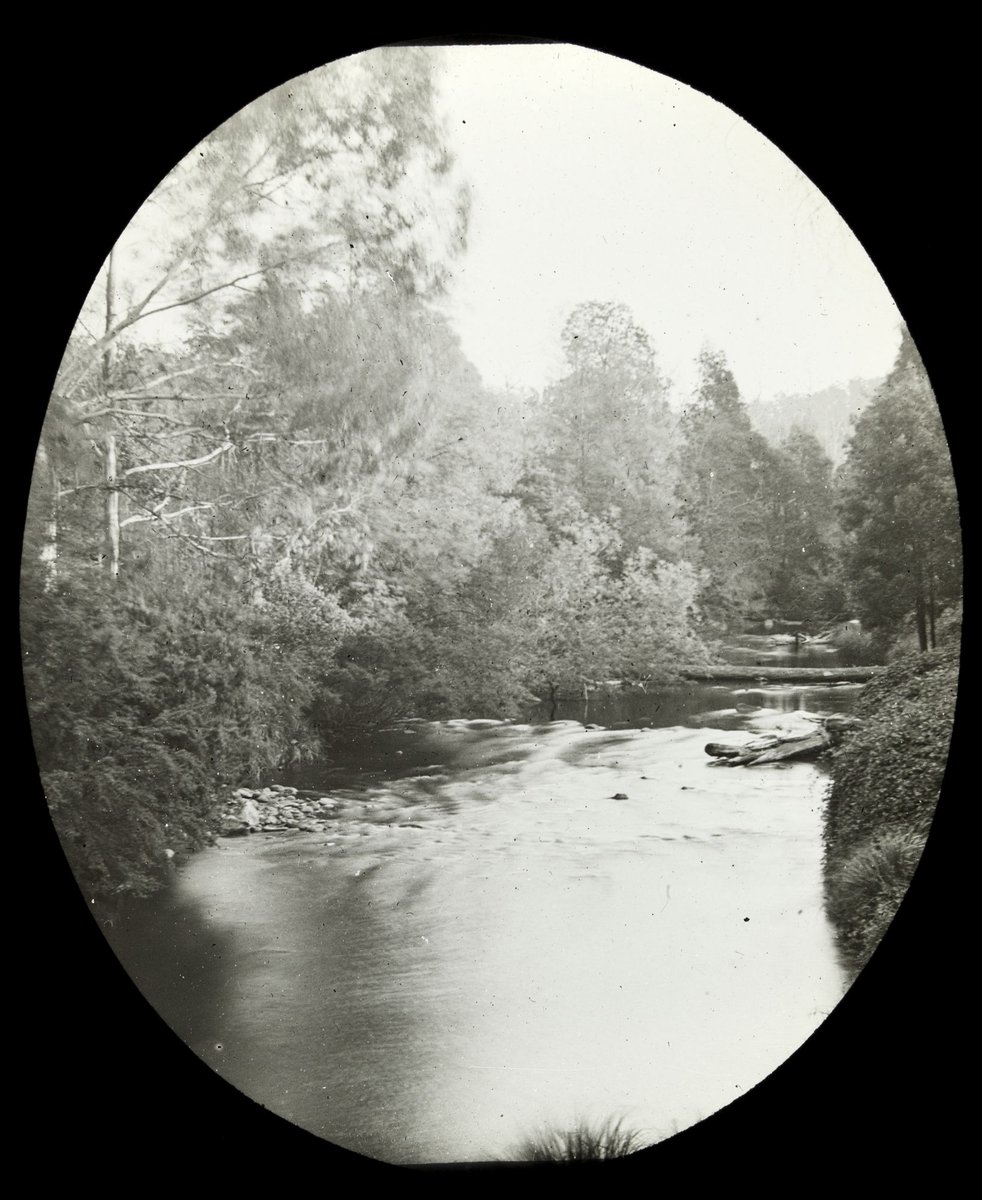 Rapids on Yarra River in country Victoria (1909)