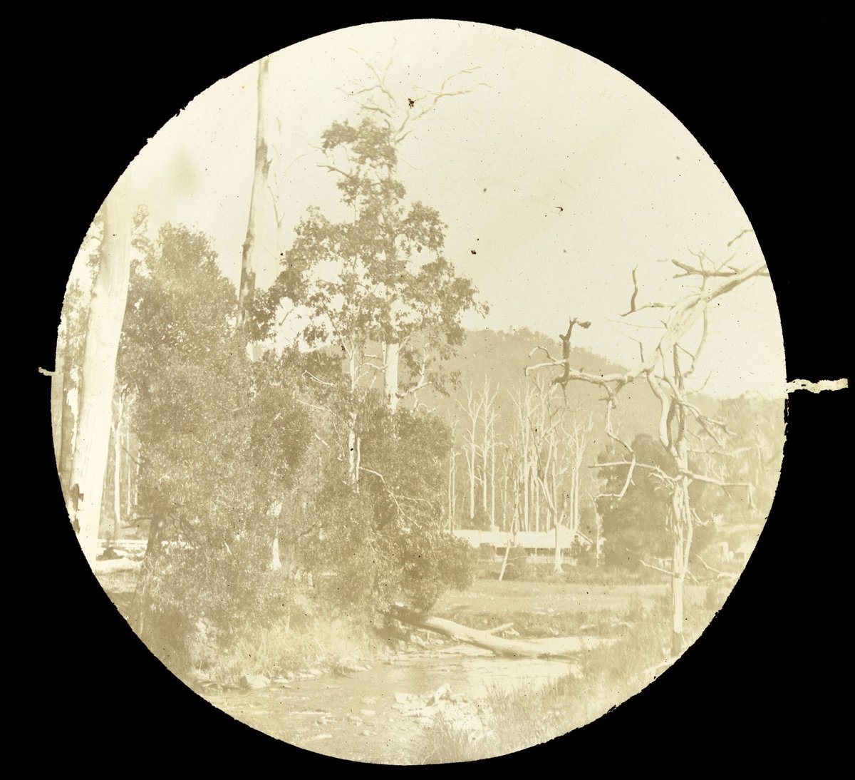 Yarra River with farmhouse and hills in background, country Victoria (1909)