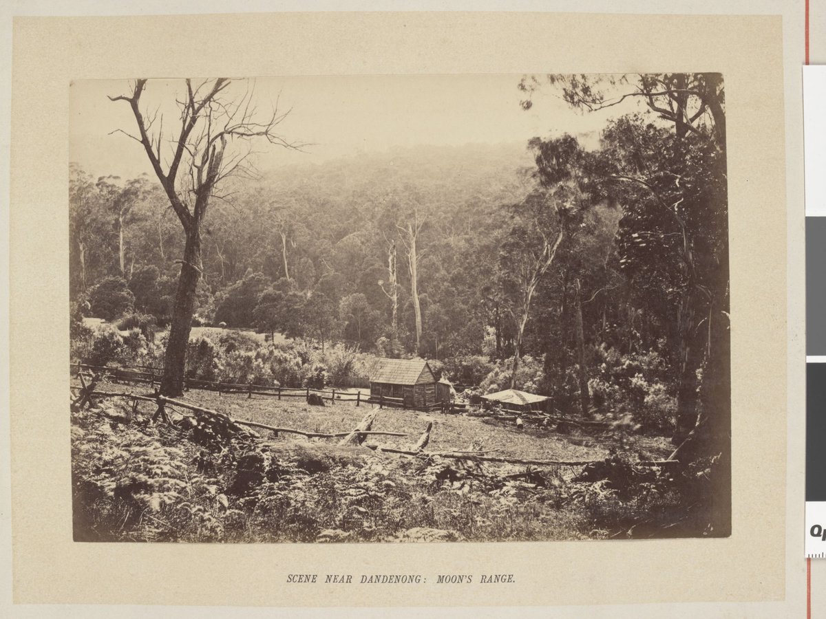 Scene near Dandenong: Moon's Range (1877)