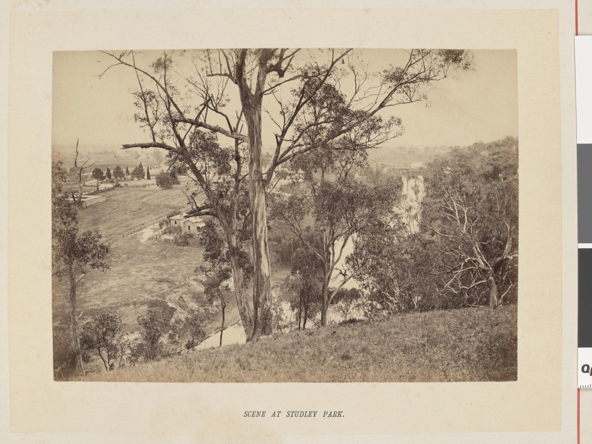 Scene at Studley Park, Kew (1877)