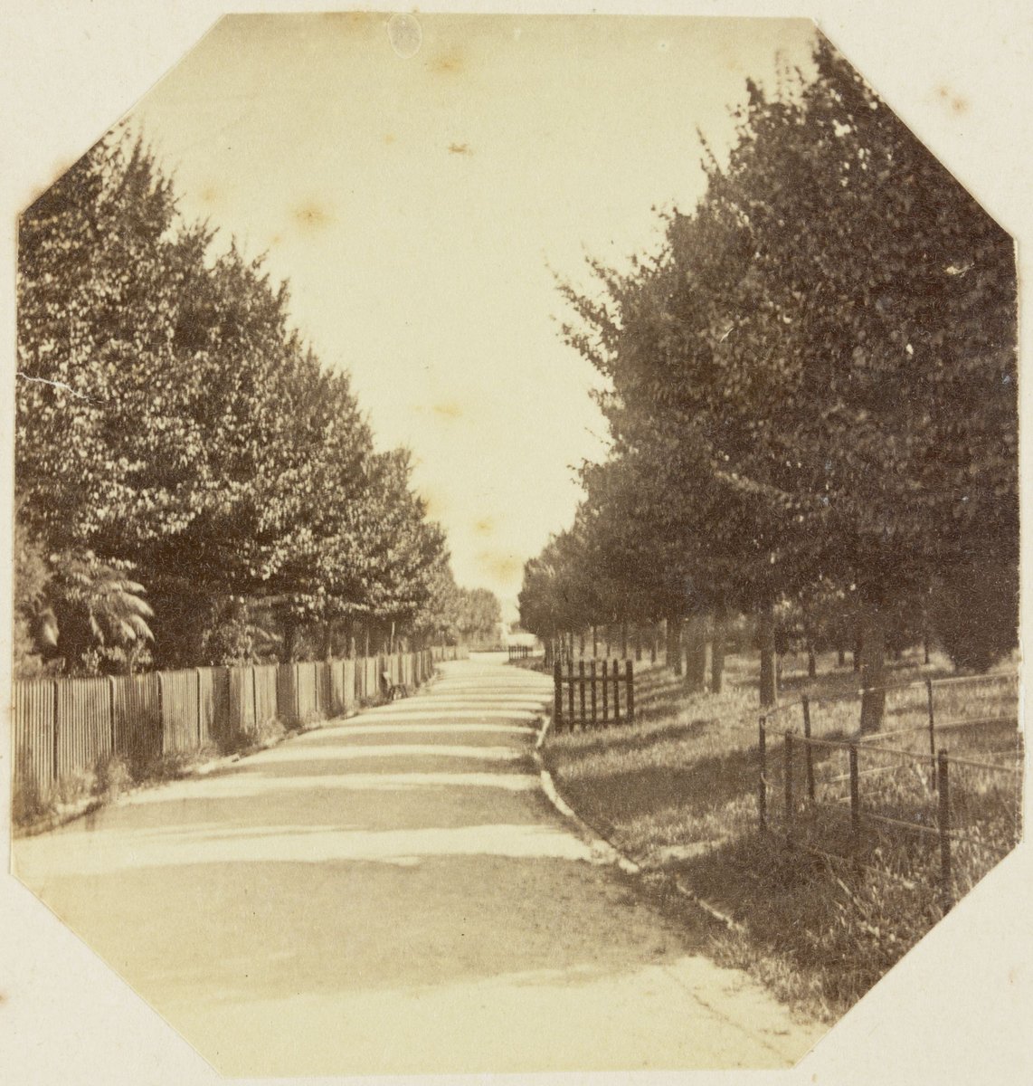 Fitzroy Gardens. Melbourne, East Melbourne (1873–82)