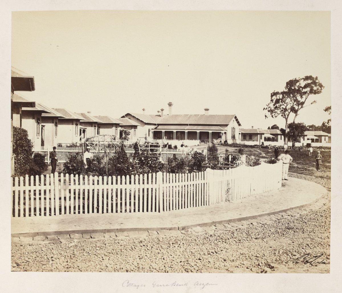 Cottages Yarra Bend Asylum [Fairfield], Kew (c. 1861)