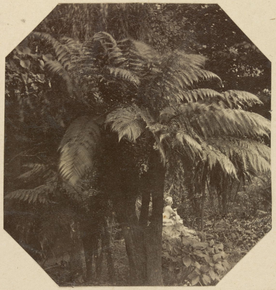 Fitzroy Gardens. Melbourne, East Melbourne (1873–82)
