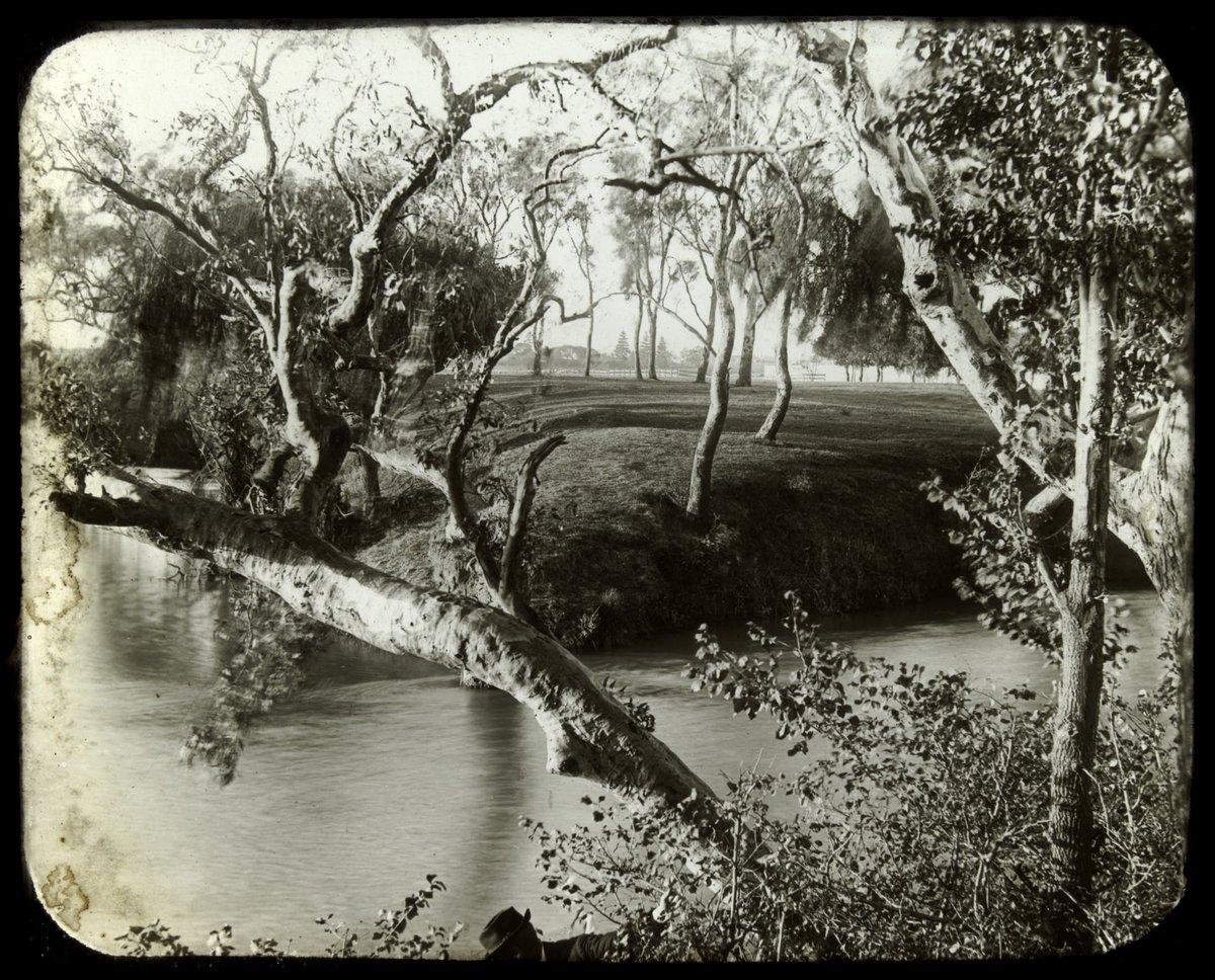 Merri Creek, Northcote (c. 1900)