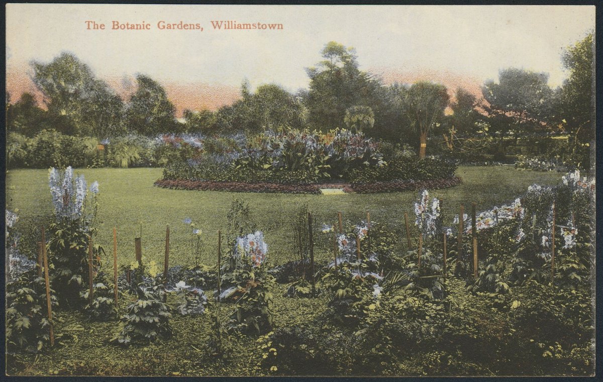 The Botanic Gardens, Williamstown, Melbourne City (1900s)