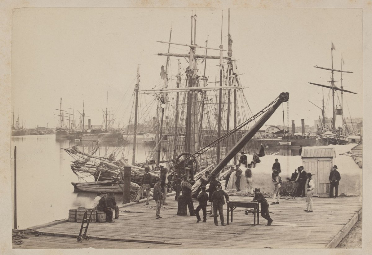 Queens Wharf, Melbourne, Melbourne City (1885?)