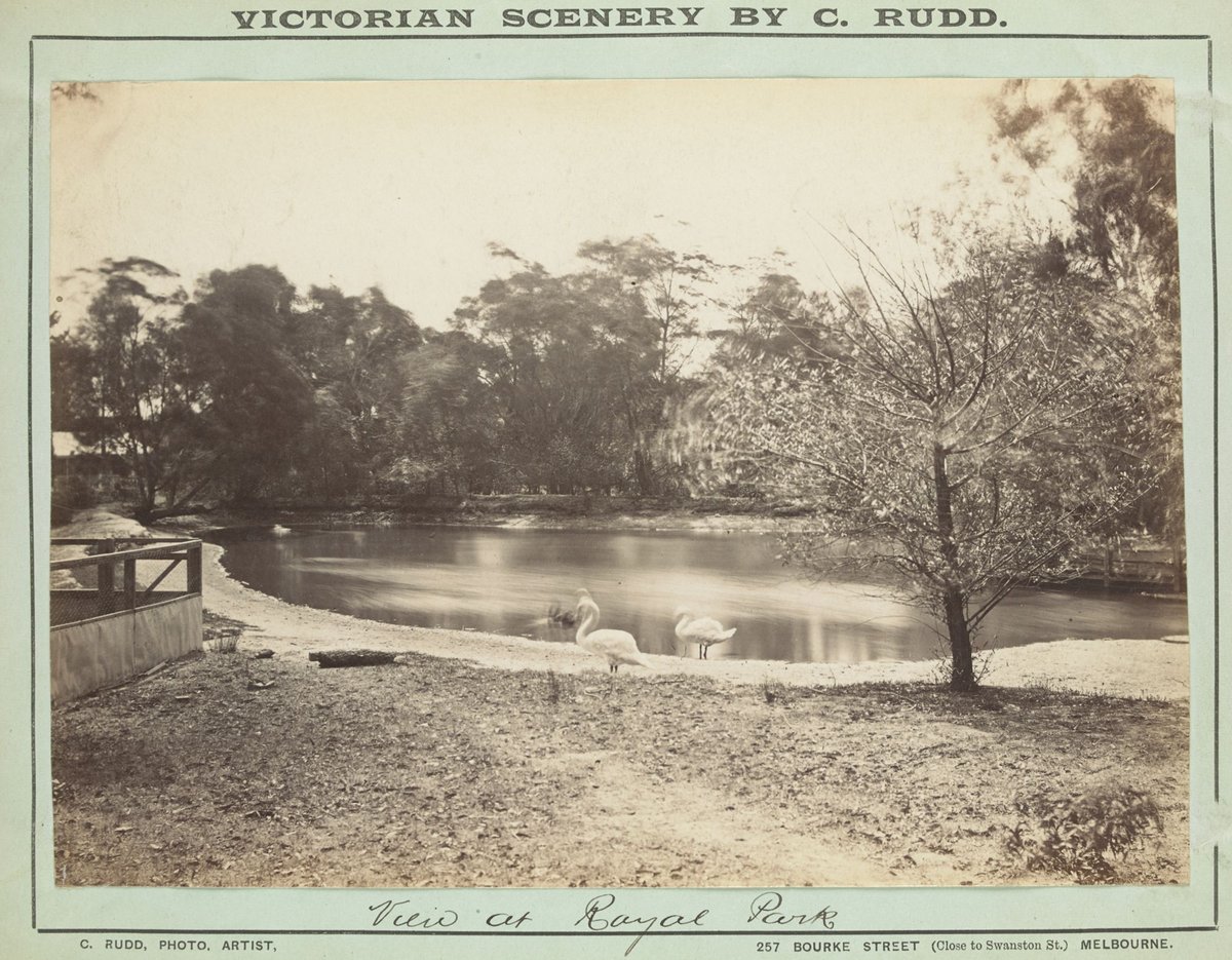 View at Royal Park, Parkville (1892–1900)