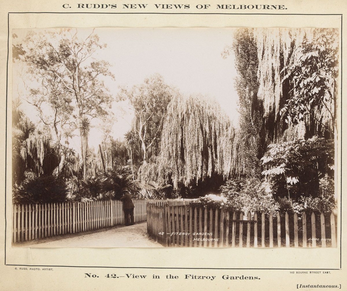 View in the Fitzroy Gardens, East Melbourne (1892–1900)