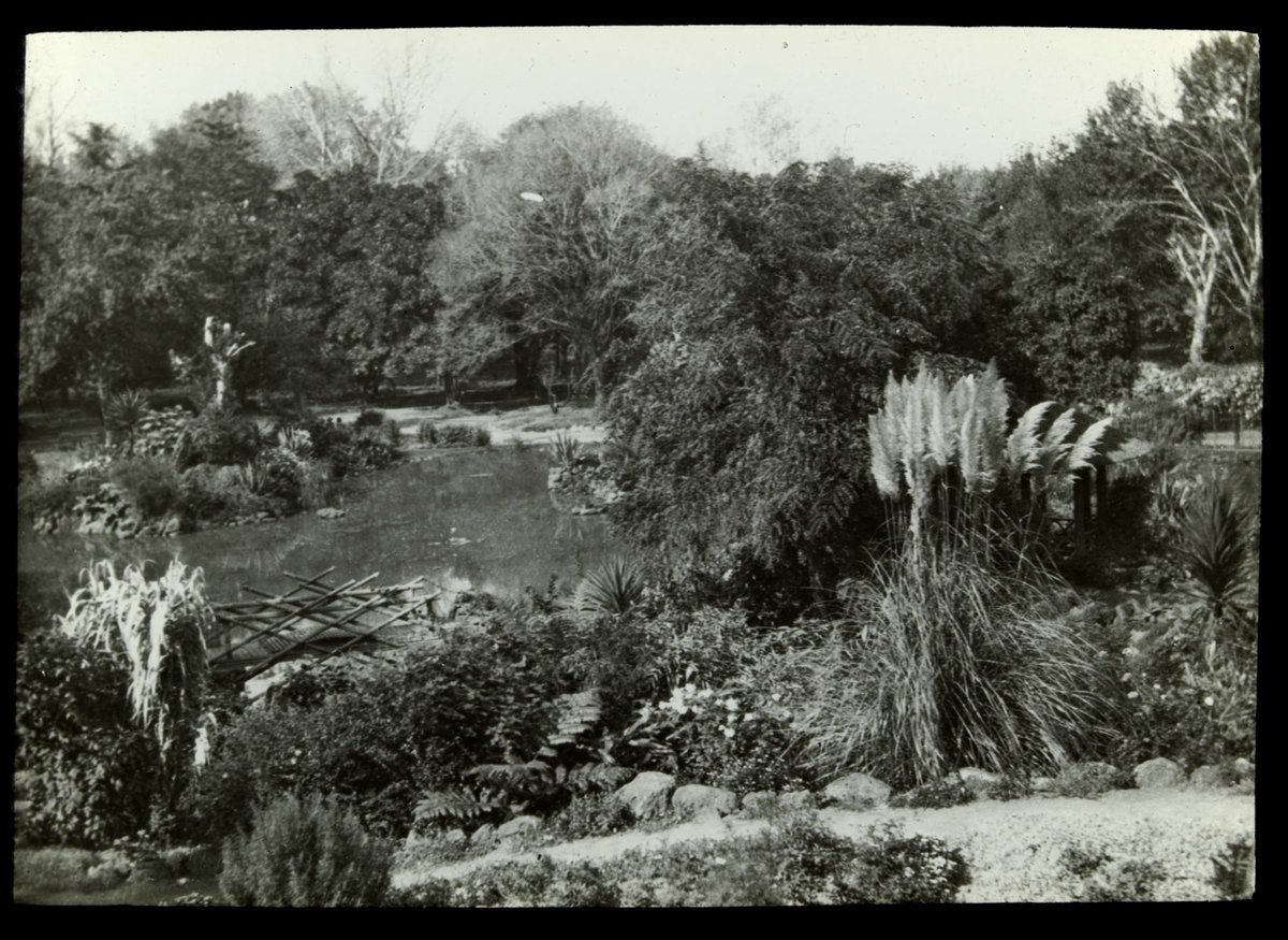 [Treasury Gardens, Melbourne], East Melbourne (1900–25)
