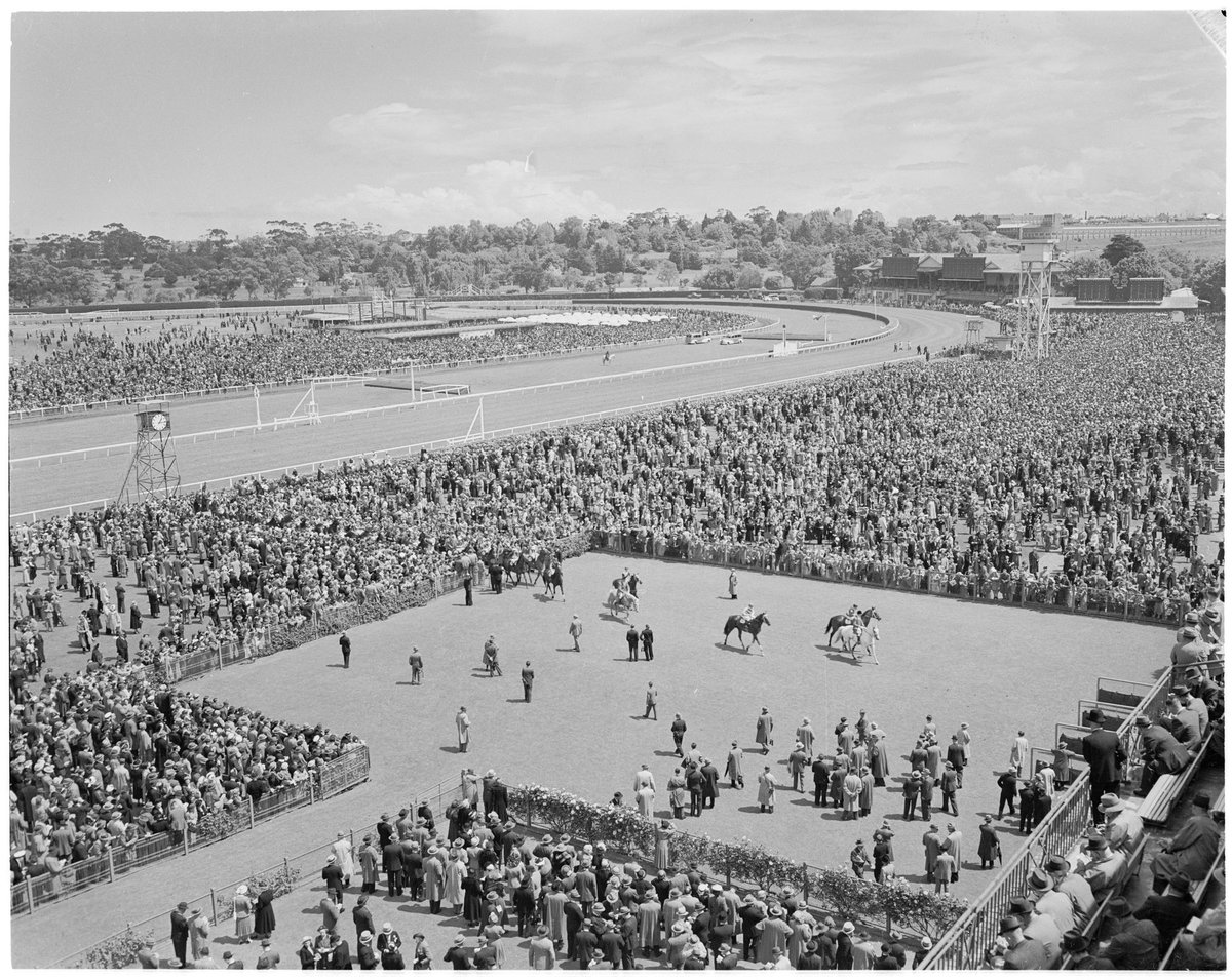 Racehorses in mounting yard at Flemington Racecourse, Melbourne Cup Day (1949)