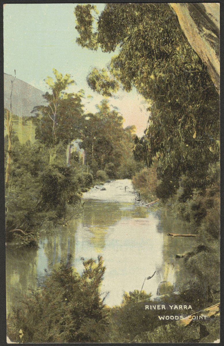 RIVER YARRA WOODS POINT, Yarra River (c. 1906)