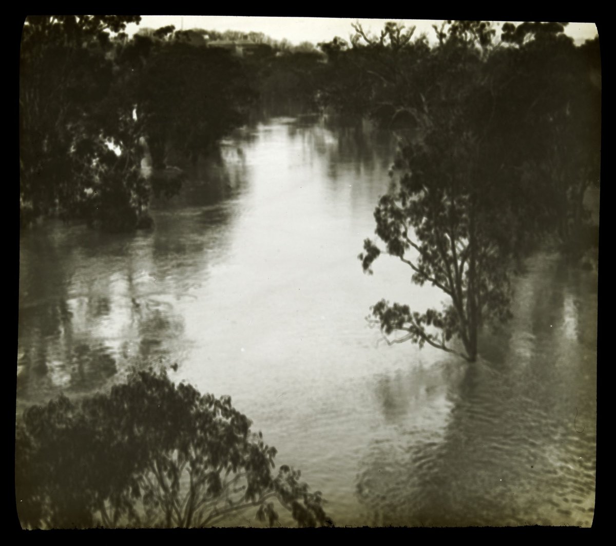 Yarra in flood at Alphington (1911)