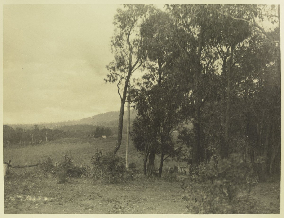 Countryside Towards Dandenong (c. 1920)