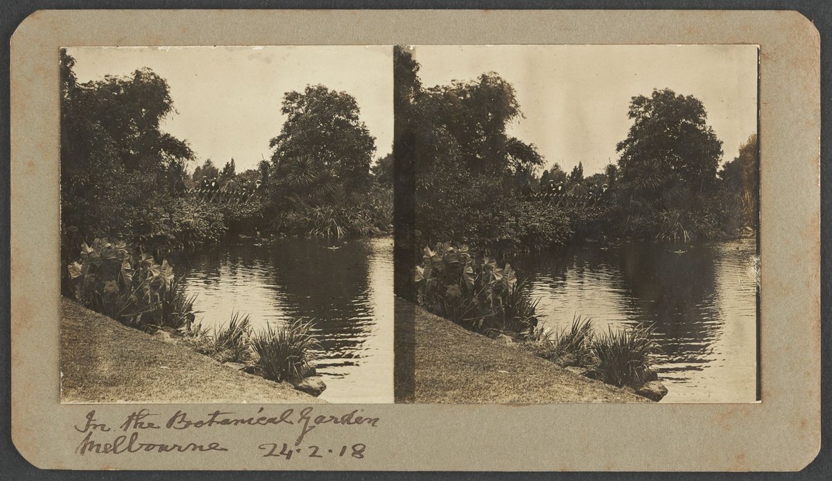 In the Botanical Garden, Melbourne, Melbourne City (1918)