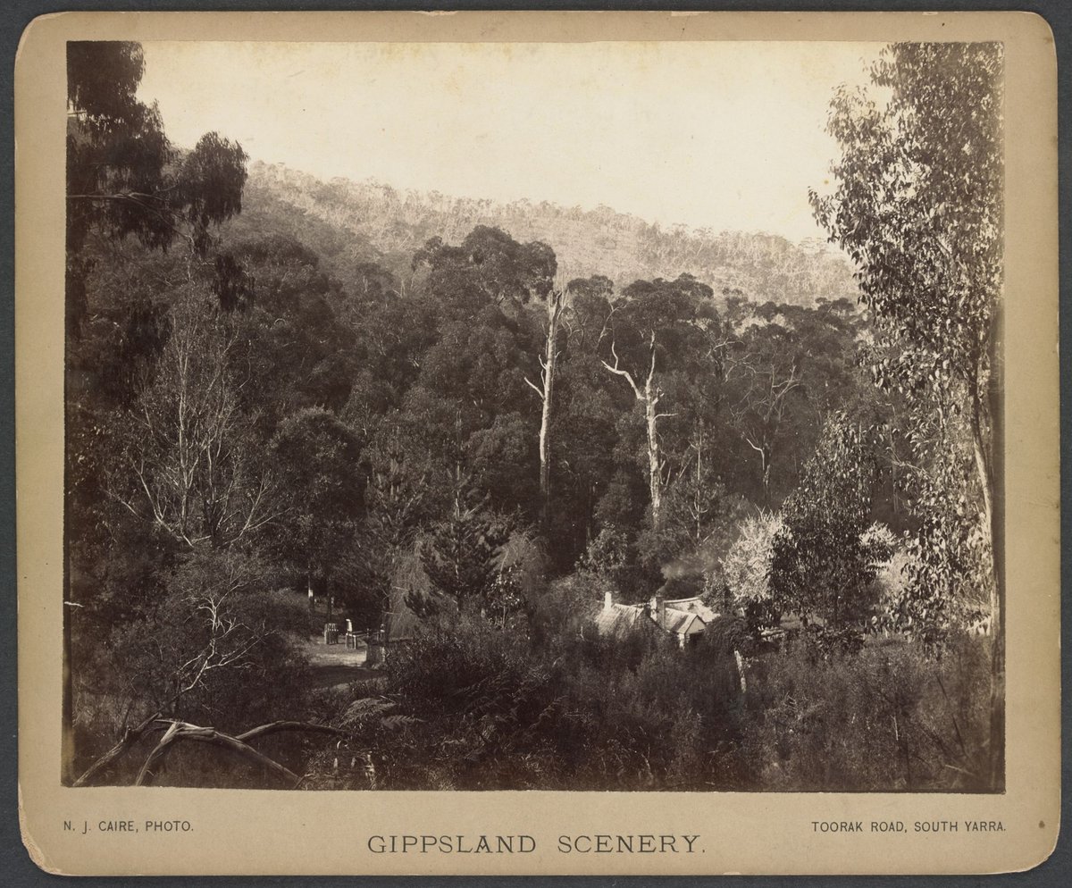 Scene on Dandenong Ranges (c. 1886)