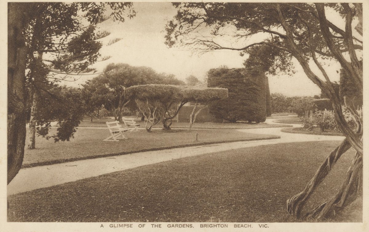 A GLIMPSE OF THE GARDENS, BRIGHTON BEACH. VIC (1925?)