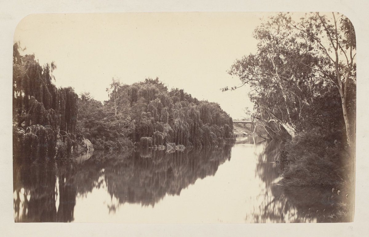 Yarra Studley Park Bridge, Kew (1862–79)