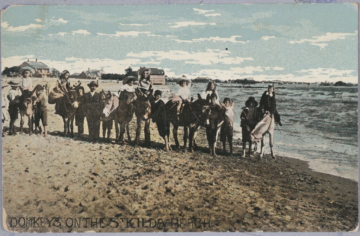 DONKEYS ON THE ST. KILDA BEACH, St Kilda (c. 1906)
