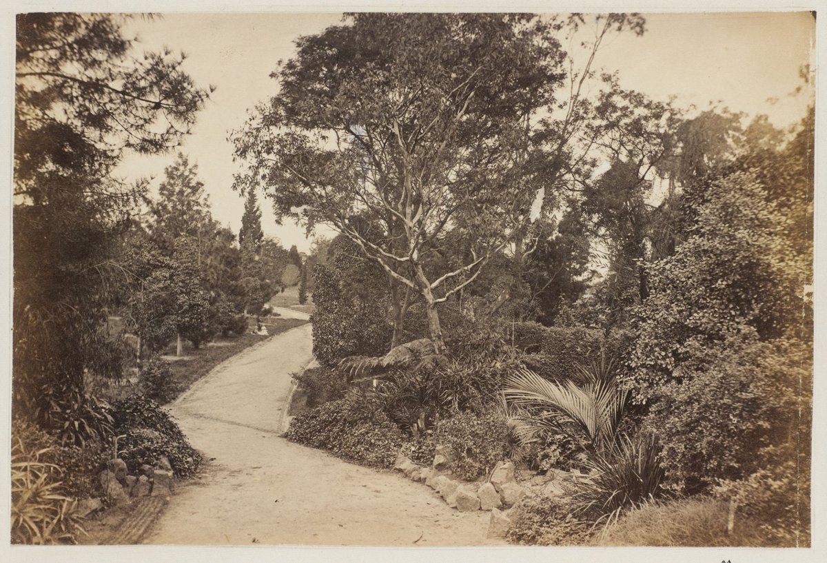 Botanical Gardens. [Melbourne], Melbourne City (1875)