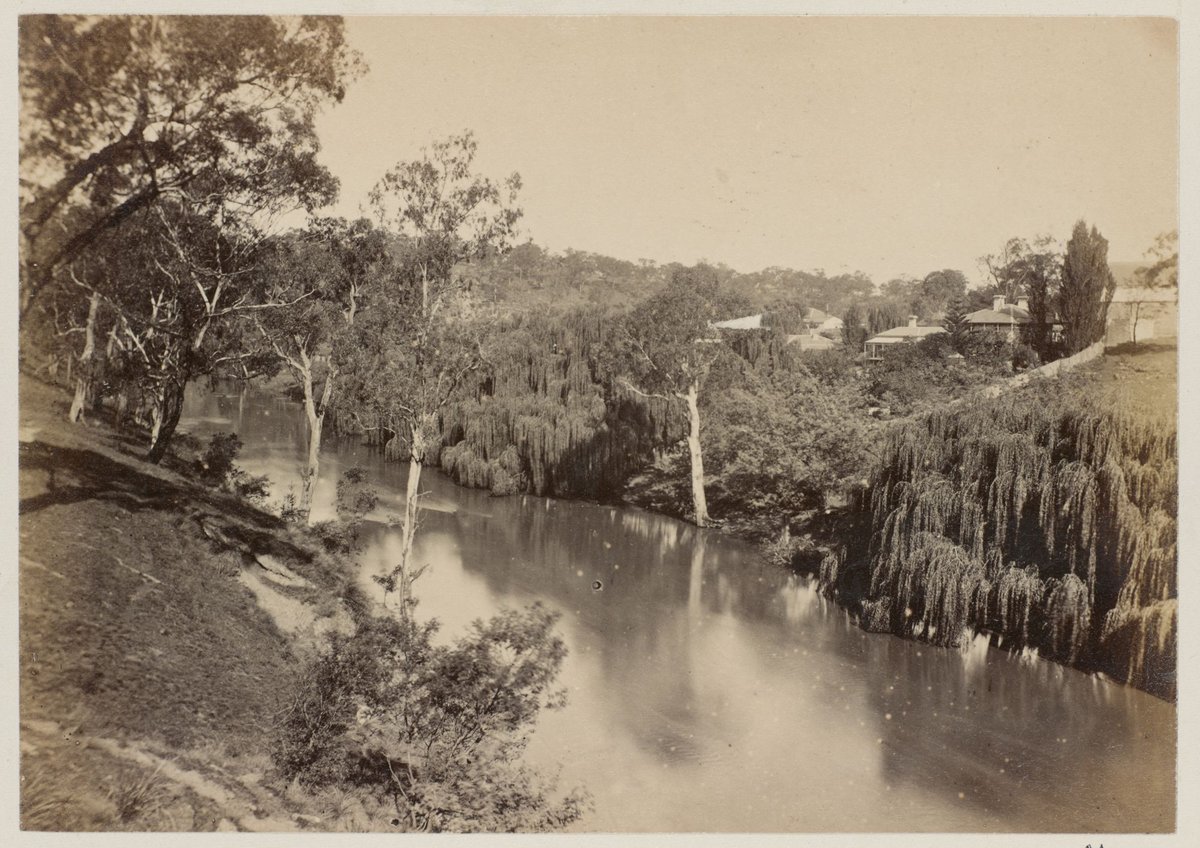 The Yarra Yarra. [Melbourne], Yarra River (1875)