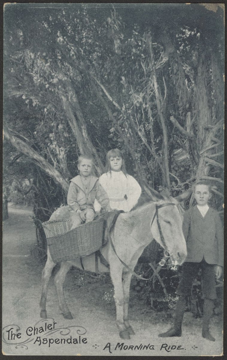 The Chalet Aspendale. A Morning Ride (c. 1908)