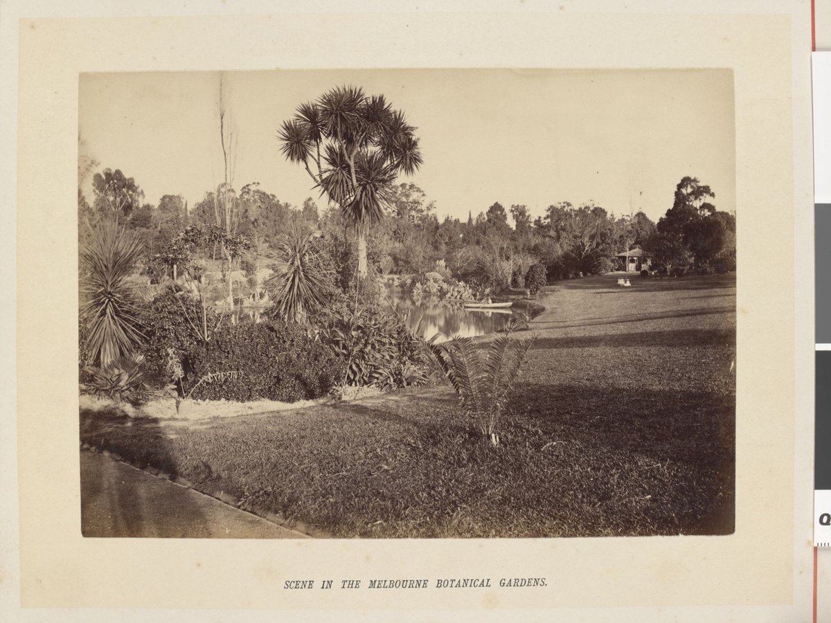 Scene in the Melbourne botanical gardens, Melbourne City (1877)