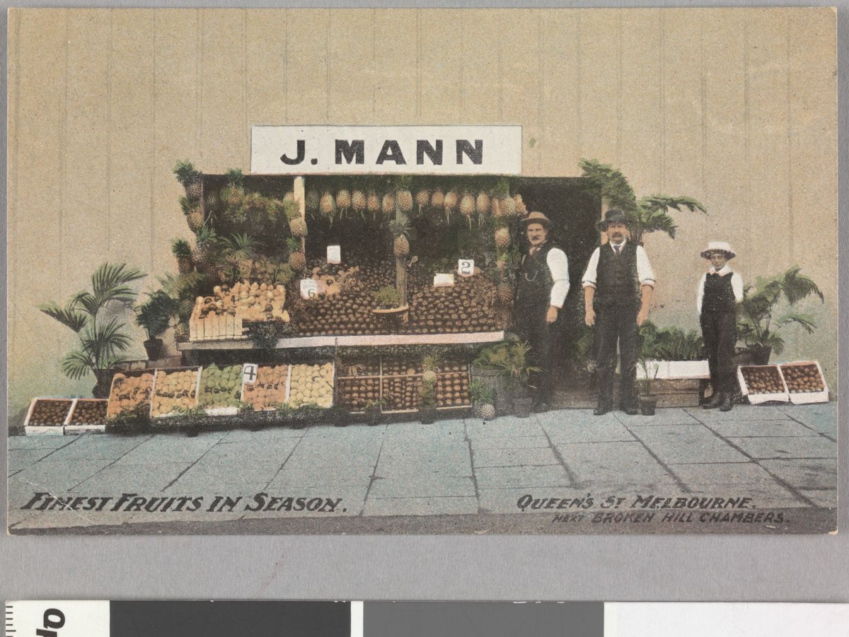 J. Mann finest fruits in season. Queen's St. Melbourne. Next Broken Hill Chambers, Melbourne City (c. 1908)