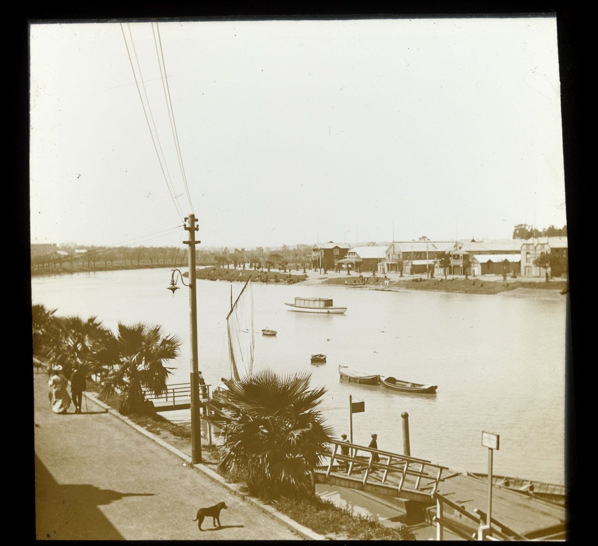 View across the Saltwater (i.e. Maribyrnong) River (1906–14)