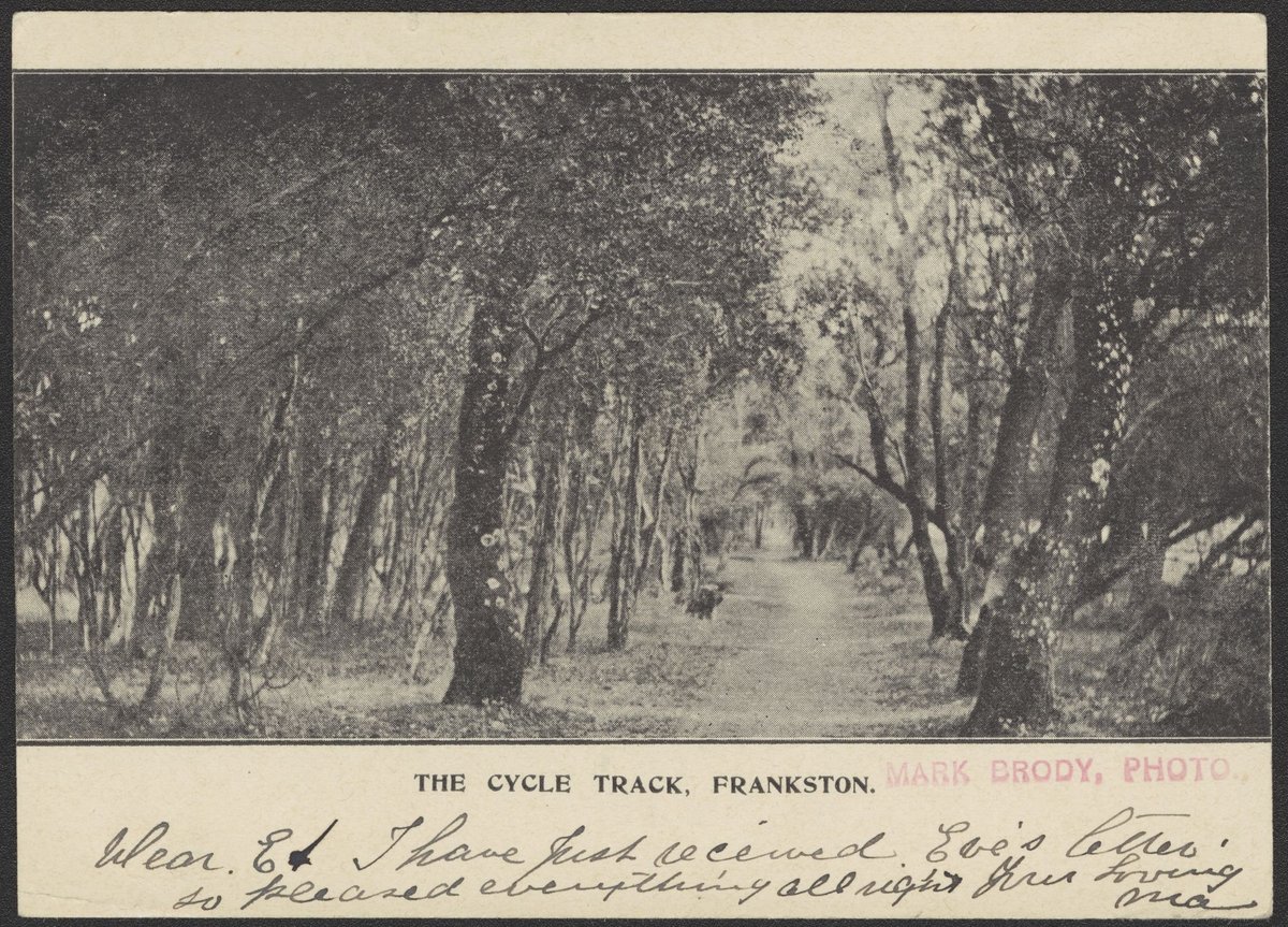 THE CYCLE TRACK, FRANKSTON (c. 1905)
