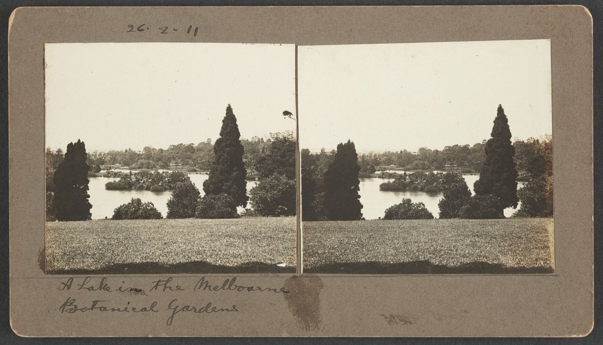 A Lake in the Melbourne Botanical Gardens, Melbourne City (1911)