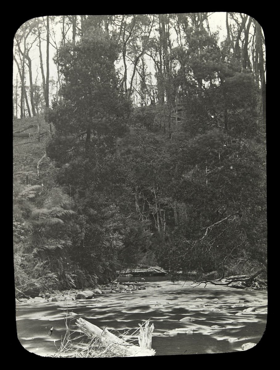 Rapids on bend in the Yarra River in country Victoria (1909)