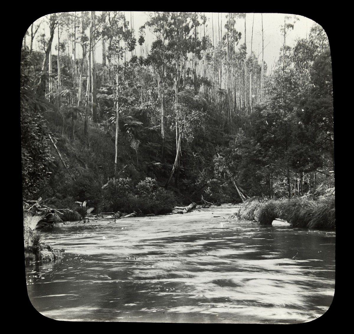 Bend in the Yarra River, country Victoria (1909)
