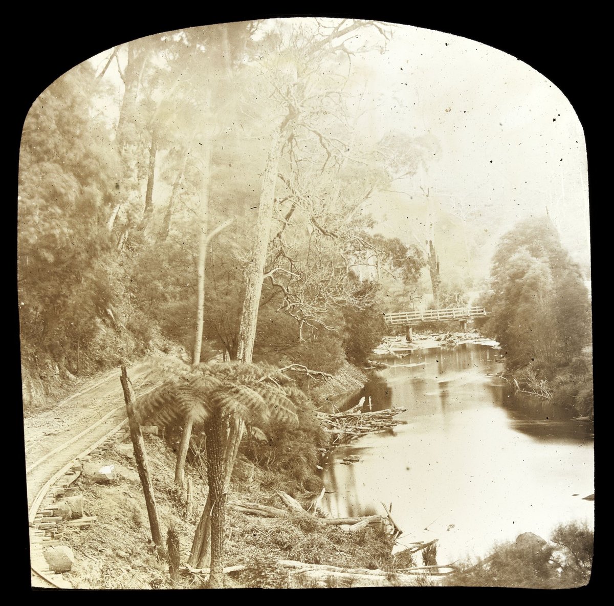 Railway tracks on side of Yarra River in country Victoria (1909)