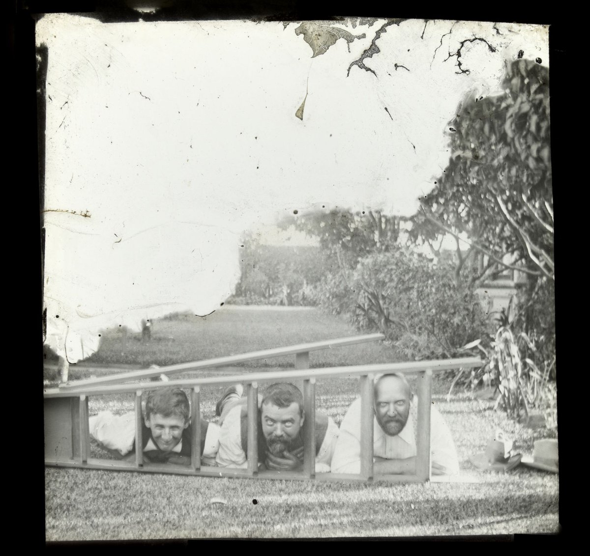 Three men poking their heads through ladder rungs, possibly at Princes Court, St. Kilda, St Kilda (1909)