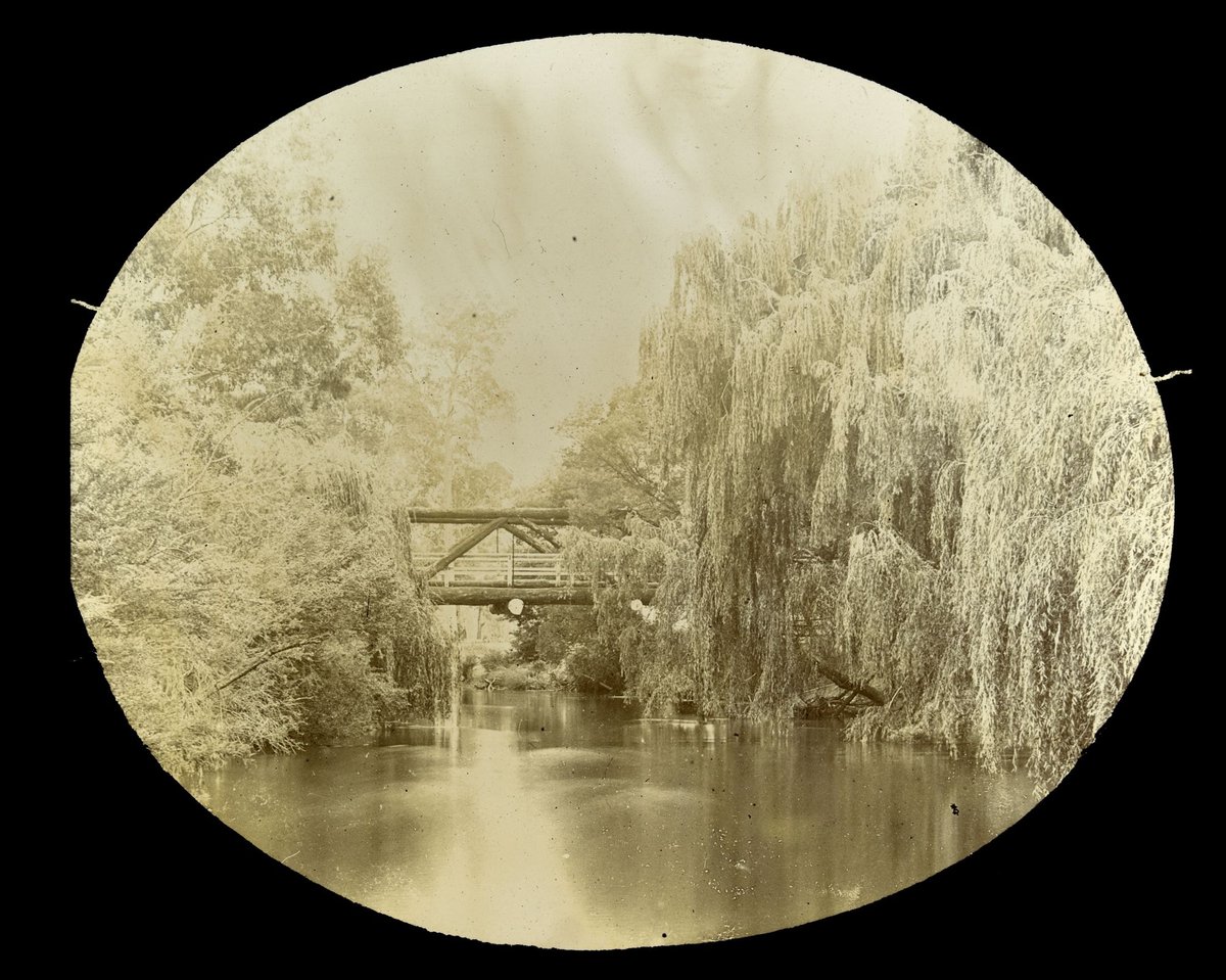 Log bridge, Yarra River in country Victoria (1909)