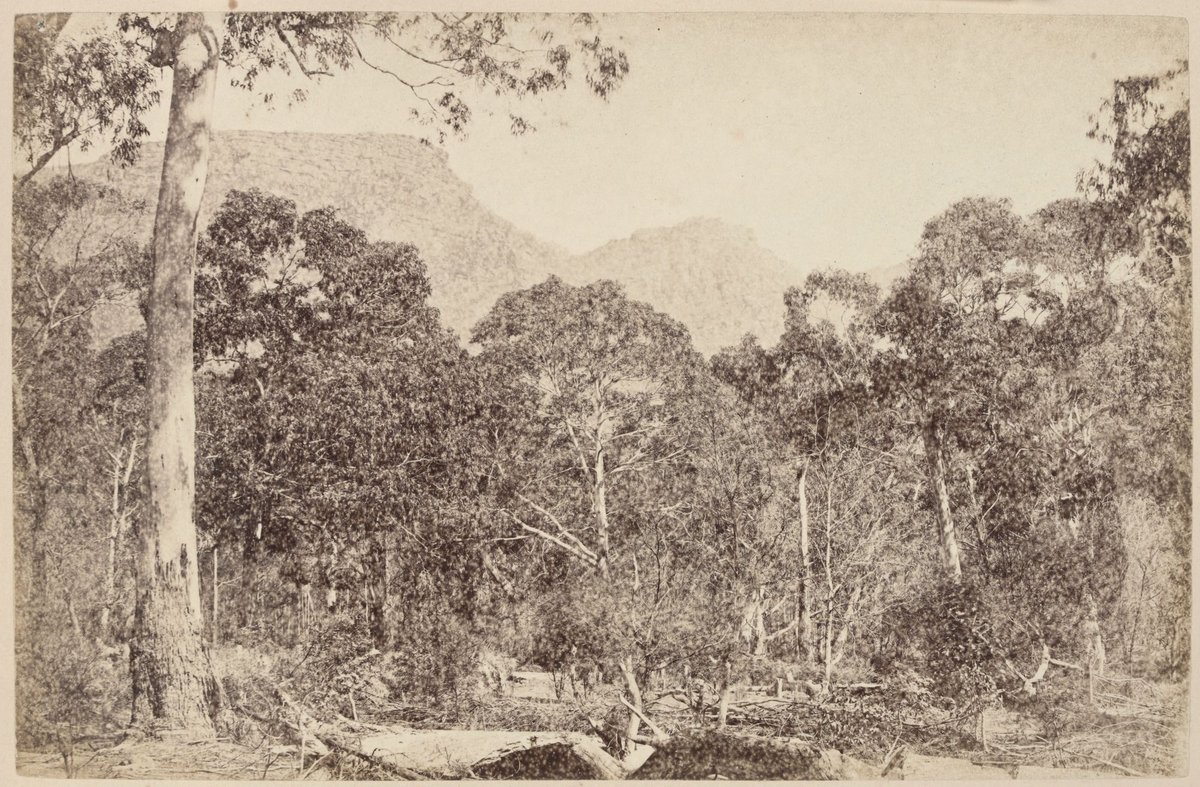 Hall's Gap, The Grampians. 196 Miles N.W. from Melbourne (1870–80)