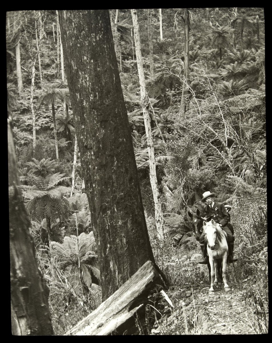 Two men on horseback, Dandenong Ranges (1909)
