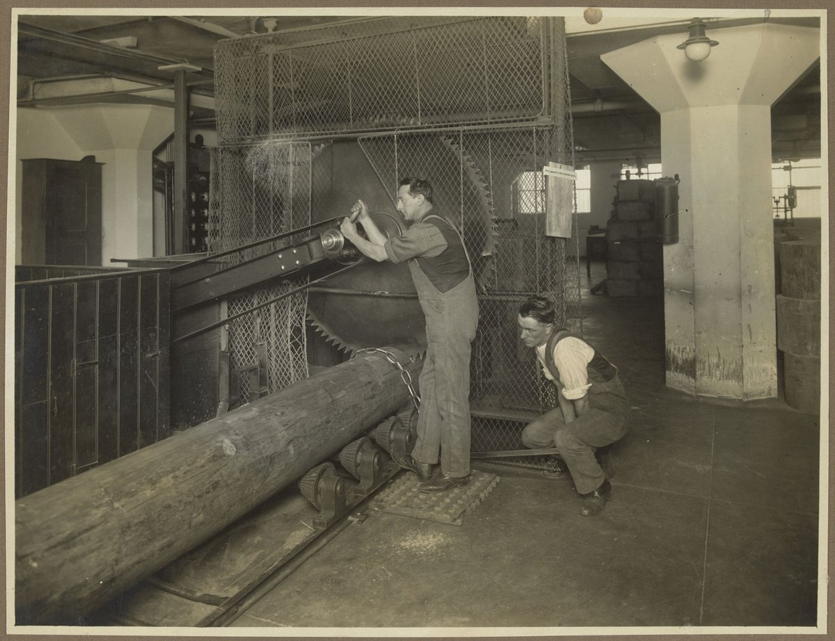 Men sawing logs into small lengths at Bryant & May factory in Richmond (1910–30)