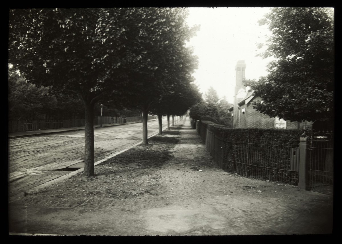 Street Reserve, Anderson Street, South Yarra (c. 1910)